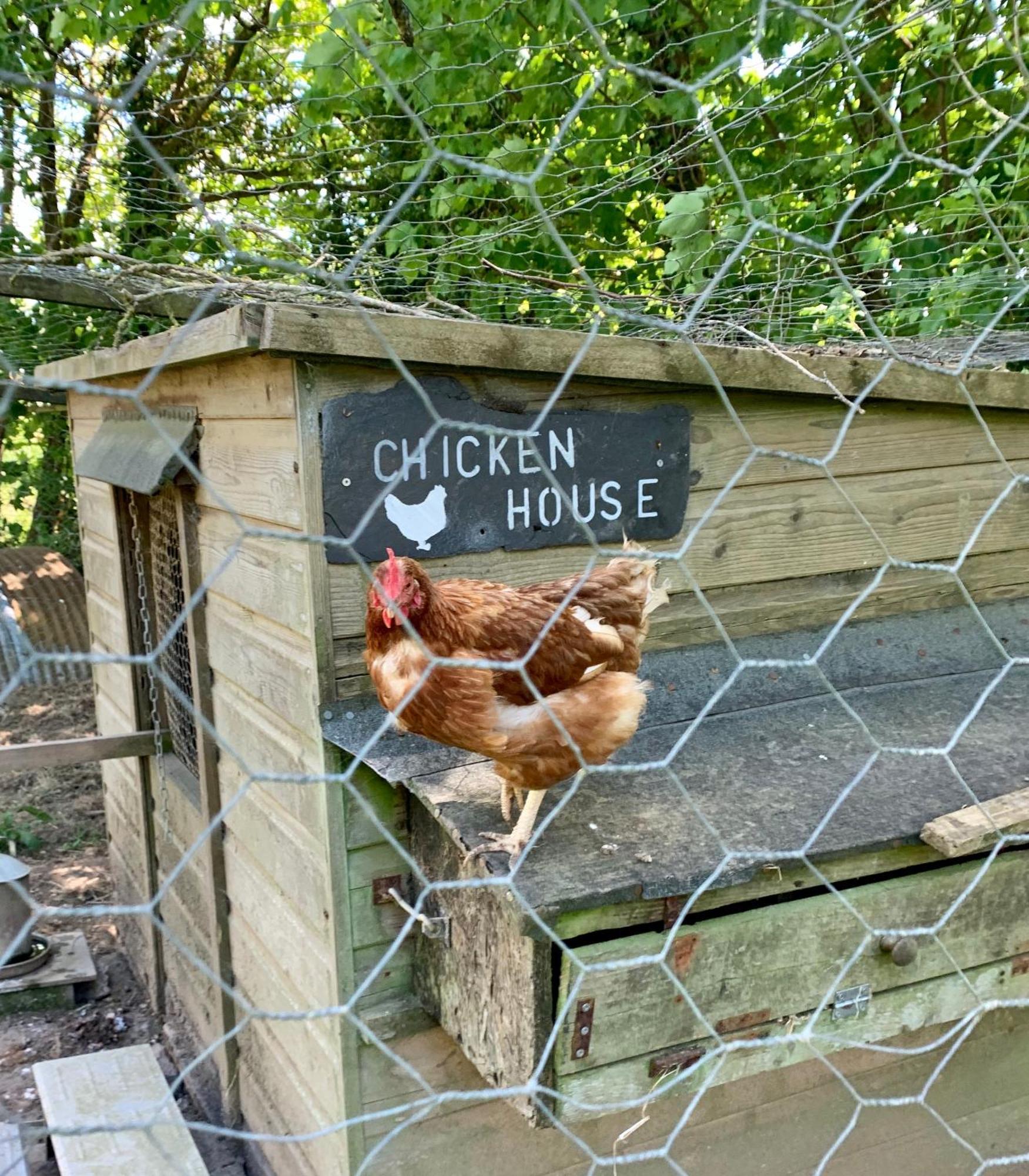Morvoren Cottage Лонсестон Екстер'єр фото